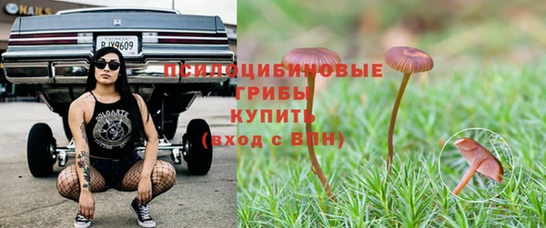 прущая мука Абаза