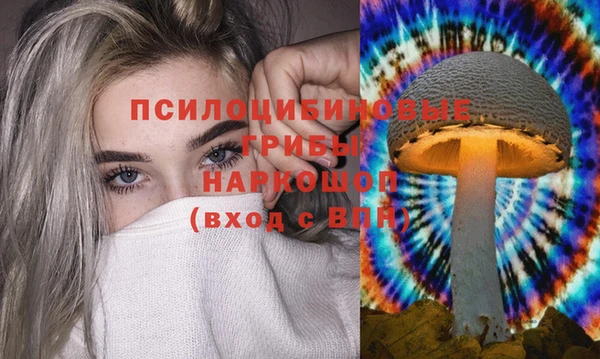 мяу мяу мука Абинск